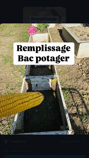 Alexterieur🌸 on Instagram: "Bien évidemment tous est facultatif sauf le composte si tu veux de belle plantes 🌱 et si t’a pas de composte tu peux mettre tous ce qui est biodégradable comme dans la vidéo sa fera du composte naturellement 😜#permaculture #jardinage #potager #tuto #astuce #nature #plante #fruit #composte #recyclage"