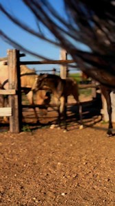 She’s spicy 🌶️ | Jeska Smith