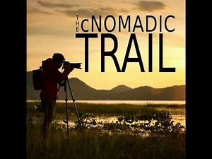 Rolling vs. Global Shutter: The Truth Behind Motion Distortion in Your Footage