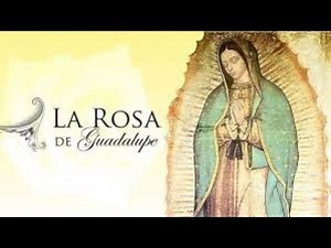 La Rosa de Guadalupe • 60 cachetadas