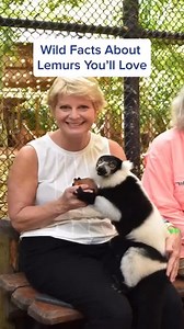 Big eyes, long tails, that’s lemur life!  #lemur #lemurfacts #zooanimals #jungleanimals | Animal Lovers Collective | Facebook
