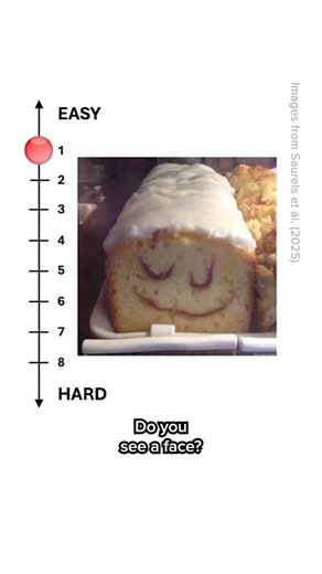 Maddie Massy on Instagram: "Do you see a face in these objects? It’s a visual illusion called face pareidolia. Humans are so sensitive to faces that we perceive the face-like pattern before we even recognise the object. Refs: Gilbert, 2020, ‘Why the brain is programmed to see faces in everyday objects’ Robinson et al., 2025, ‘Neural correlates reveal separate stages of spontaneous face perception’ Saurels et al., 2025, ‘Increased susceptibility to the face pareidolia illusion in Visual Snow synd
