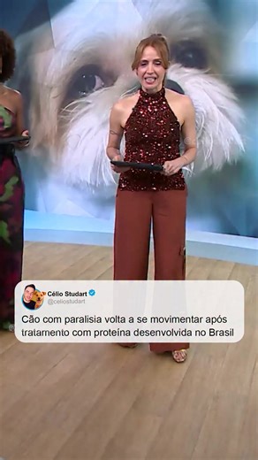 Ciência que transforma vidas! A professora Tatiana Sampaio, da Universidade Federal do Rio de Janeiro (UFRJ), conduz uma pesquisa promissora que devolveu movimentos a animais com paralisia e demonstrou potencial no tratamento de lesões medulares em humanos. Protocolamos uma moção de aplauso em reconhecimento a esse trabalho. Valorizar a ciência é investir em soluções reais e no futuro. | Célio Studart