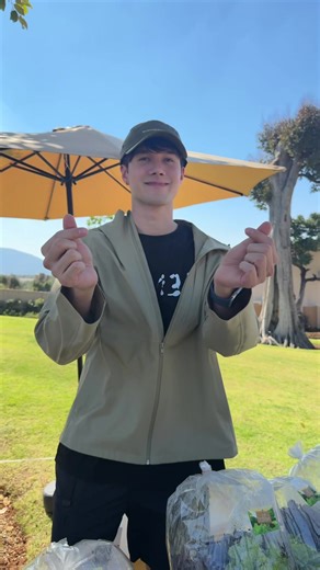 ผักออร์แกนิคสดๆ จาก Mik Mountain ที่ Summerwoods