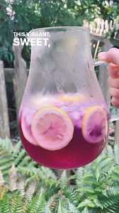 Cool down with our delicious tea-infused lavender lemonade! In this video, we share a simple and refreshing recipe that combines the soothing flavors of lavender tea with the tangy zest of lemonade. Perfect for hot days or a relaxing afternoon treat. Click below to learn how to make this delightful and calming drink at home. Here is the full recipe: https://looseleafteamarket.com/blogs/loose-leaf-tea-market-blog/lush-lavender-lemonade-pitcher | Loose Leaf Tea Market