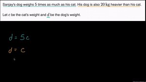 Setting up a system of equations from context example (pet weights)