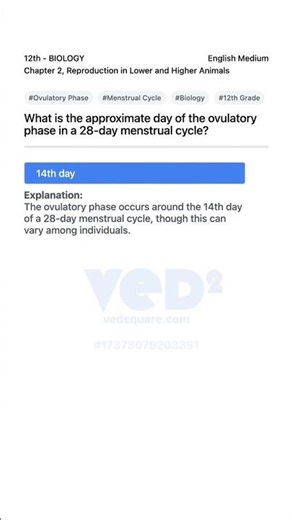 Ovulatory Phase in 28-Day Menstrual Cycle Biology 12th