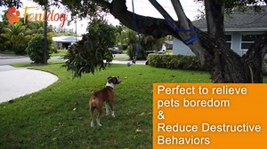 Fenidog Outdoor Bungee Hanging Dog Toy, Interactive Tether Tug Toy for Pitbull & Small to Large Dogs, Ideal for Exercise & Solo Play, Play Tug War, Extra Durable & Safe with 2 Chew Rope Toys