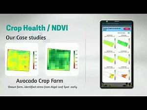 Track Your Crop Health with NDVI | Sat2Farm Explained