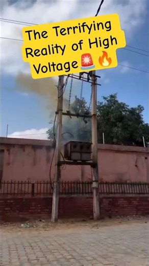 Why You Should Never Touch Power Lines #highvoltage #fyp #trending #viralvideo #mustwatch #physics