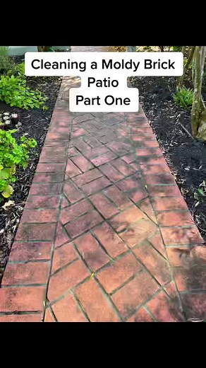 Cleaning Moldy Brick Walkway: Old-Fashioned Linseed Soap Test