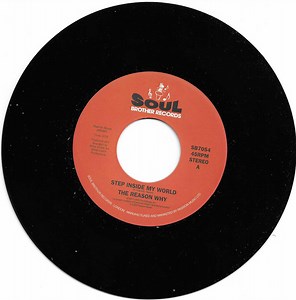 The Reason Why - Step Inside My World