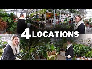 Houseplant Shopping at 4 Big Box Store Locations! | Home Depot Plants, Lowes, Indoor Plant Haul