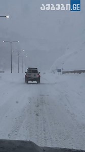 👉❄რიკოთი 🎬დავით კუპრაძე | ambebi.ge • ამბები.ge