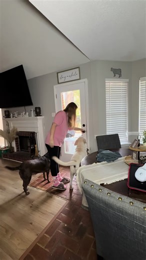 Watch the whole thing to see it all unfold 😅🤟🏻 #fyp #morningvlog #coffeetiktok #momsoftiktok #spendthemorningwithme