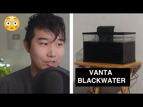 the Greatest fish tank Aquascape I have ever seen | Fish Tank Review 192