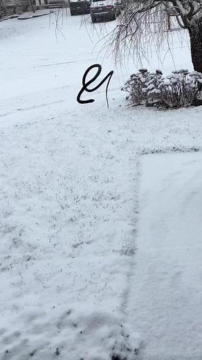 Coping with Pet Snake Loss: A Heartfelt Journey