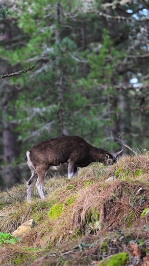 Bavella 10’mars 2026