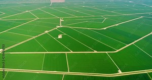 Intensive agriculture in a large farm with a lot of fields. This this an issue for the environment and pollution - aerial view with a drone - Agriculture and Landscape concept 4K