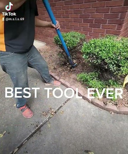 HOW TO TAKE OUT BUSHES BY THE ROOT