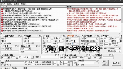 7.1 花式批量重命名工具 Bulk Rename Utility