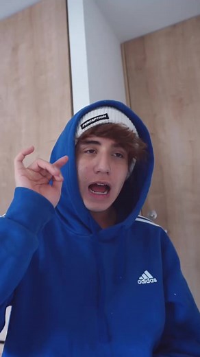 Understanding Sign Language Expressions in Context