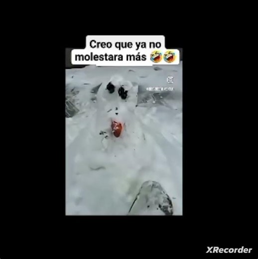 así es la vida 😃 (créditos:@visor-memes)#humor #memes #yosoydelos7mil#Ja