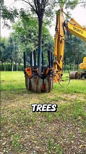 This Machine Saves Trees Instead of Cutting Them! 🌳🛠️
