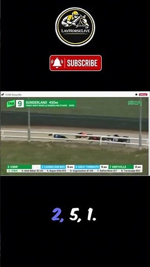 Too Close to Call! Greyhound Sprint Finish 🐕