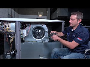 Fan Belt Alignment & Tension