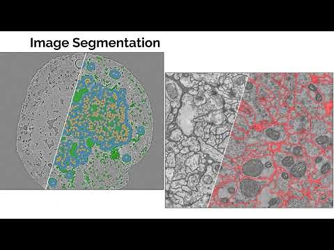 Dragonfly Software - Showcase in 3 minutes