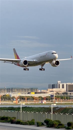 10K views · 216 reactions | ASIANA AIRLINES AIRBUS A350 LANDING AT LOS ANGELES INTERNATIONAL AIRPORT #fyp #la #losangeles #laxairport #planespotting #planespotter #planespotters #aviation #pilot #flightattendant #cabincrew #takeoff #aircraft #viral #viralvideos | Nvd Aviation | Facebook