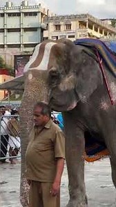 திருமலையில் நேற்று பக்தர்கள் தரிசன விவரம்.