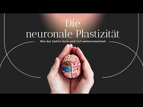 Lerne wie dein Gehirn lernt (Neuronale Plastizität)