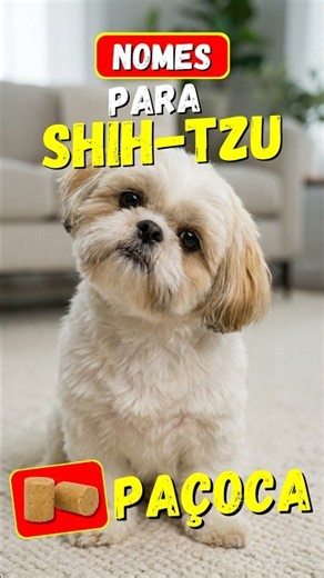 5 Perfect Names for a Small Shih Tzu (Sound Test)