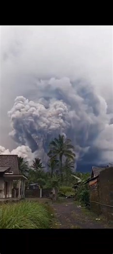 1.2K views |  Entra en erupción el Volcán Semeru en la Isla de Java, Indonesia. Imágenes de redes sobre la violenta erupción del Monte Semeru, el miércoles 19 de noviembre. Alta y densa columna de cenizas y peligrosos flujos piroclásticos de 5.5 km hasta la zona de Besuk Kobokan.  Elevan Nivel de Alerta de III a IV | Contrapropuesta Noticias | Facebook