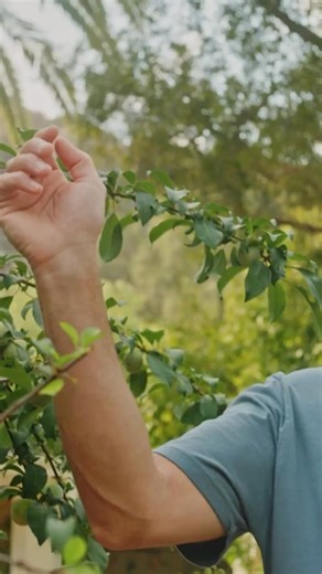 Journey Collective is Now LIVE! 🌱Introducing a digital home for revolutionary health education, community connection, and monthly live dialogue with Zach Bush, MD Inside the Membership: ✔️ The full Journey Health Series: 8 modules of transformative teachings led by Zach Bush, MD 200 hours of bonus content (originally valued: $897) ✔️ Weekly reflection calls led by Journey Coaches for ongoing support ✔️ Monthly LIVE dialogue with Zach Bush, MD ✔️ Seasonal practices new content added each month ✔