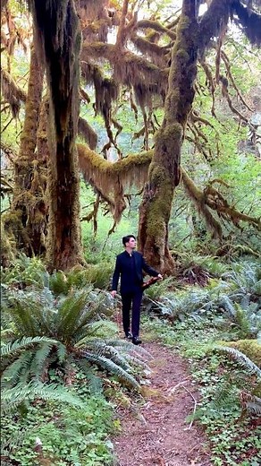 Song From a Secret Garden | Violin in the Enchanted Hoh Rainforest 🌿🎻