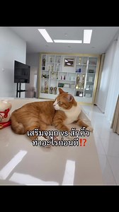 5.6K views · 49 reactions | เพจ สักคิ้วปทุมธานี Artistic lashbrowz อาททิสติก | Natthaya Pim Naklai | Facebook