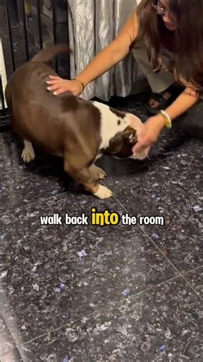 Let's try to looking at everyday life worth getting excited about. #doggielife