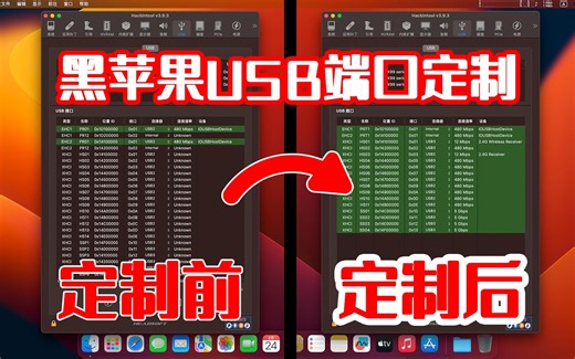 黑苹果USB端口定制：一直搞不定端口定制的朋友，可以看看我这个方法