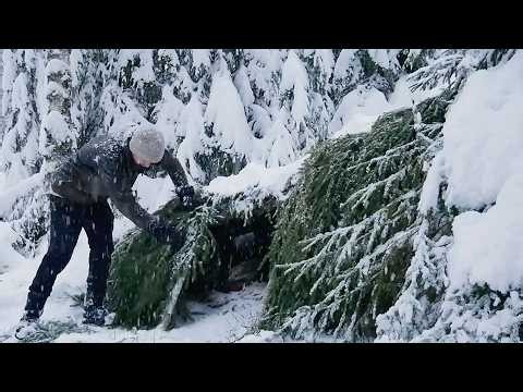 Build a Warm Shelter to Survive During a Winter Blizzard