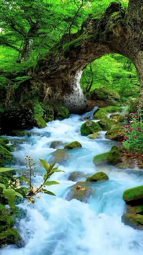 naturebeautyscenery on TikTok