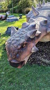 The wait is over, and the ROARS are louder than ever! 🦕💥 The ribbon has been cut, and Zoorassic Trail at Dublin Zoo is officially OPEN! Step back in time and come face-to-face with over 40 life-sized, moving, roaring and breathing dinosaurs! Don’t keep the dinosaurs waiting... Book your visit today at dublinzoo.ie! 🦖 Don’t forget – you get two worlds for one ticket when you book your Dublin Zoo visit until September – there’s no extra cost for Zoorassic Trail – it’s included in your regular D