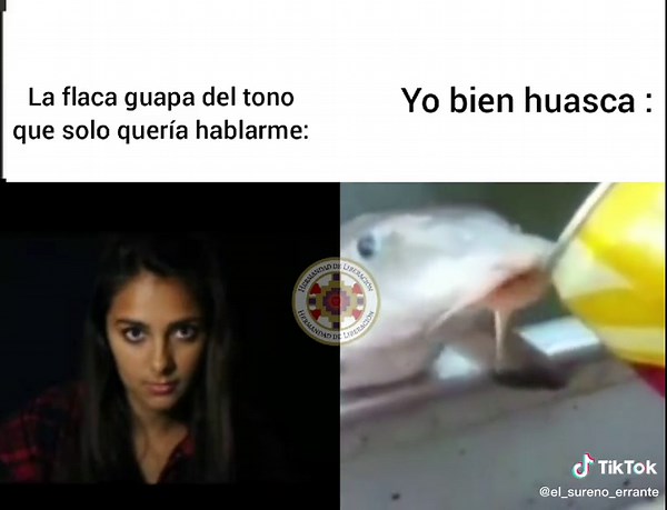 Feeding a Catfish: A Close-Up Experience