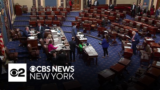 Senate votes to fund ICE, US Border Patrol