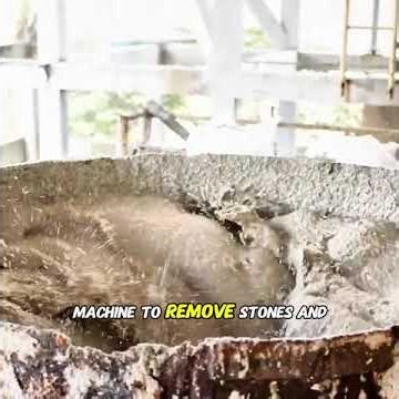 How paper is made — the science behind turning trees into sheets