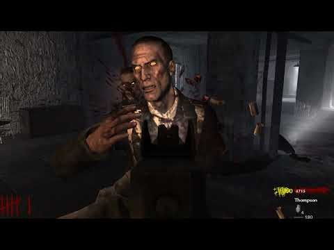 Call of duty World at War Zombies