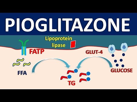 Pioglitazone - Mechanism, side effects, precautions and uses
