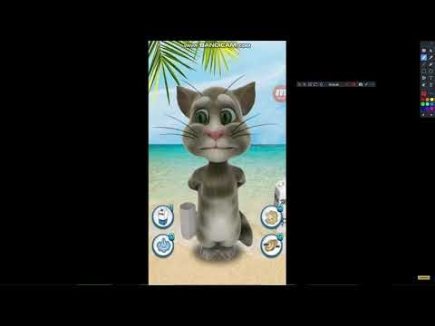 Talking Cat Free GamePlay